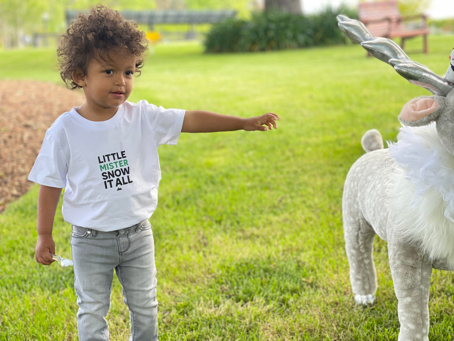 Little MISTER Tee (green/black)